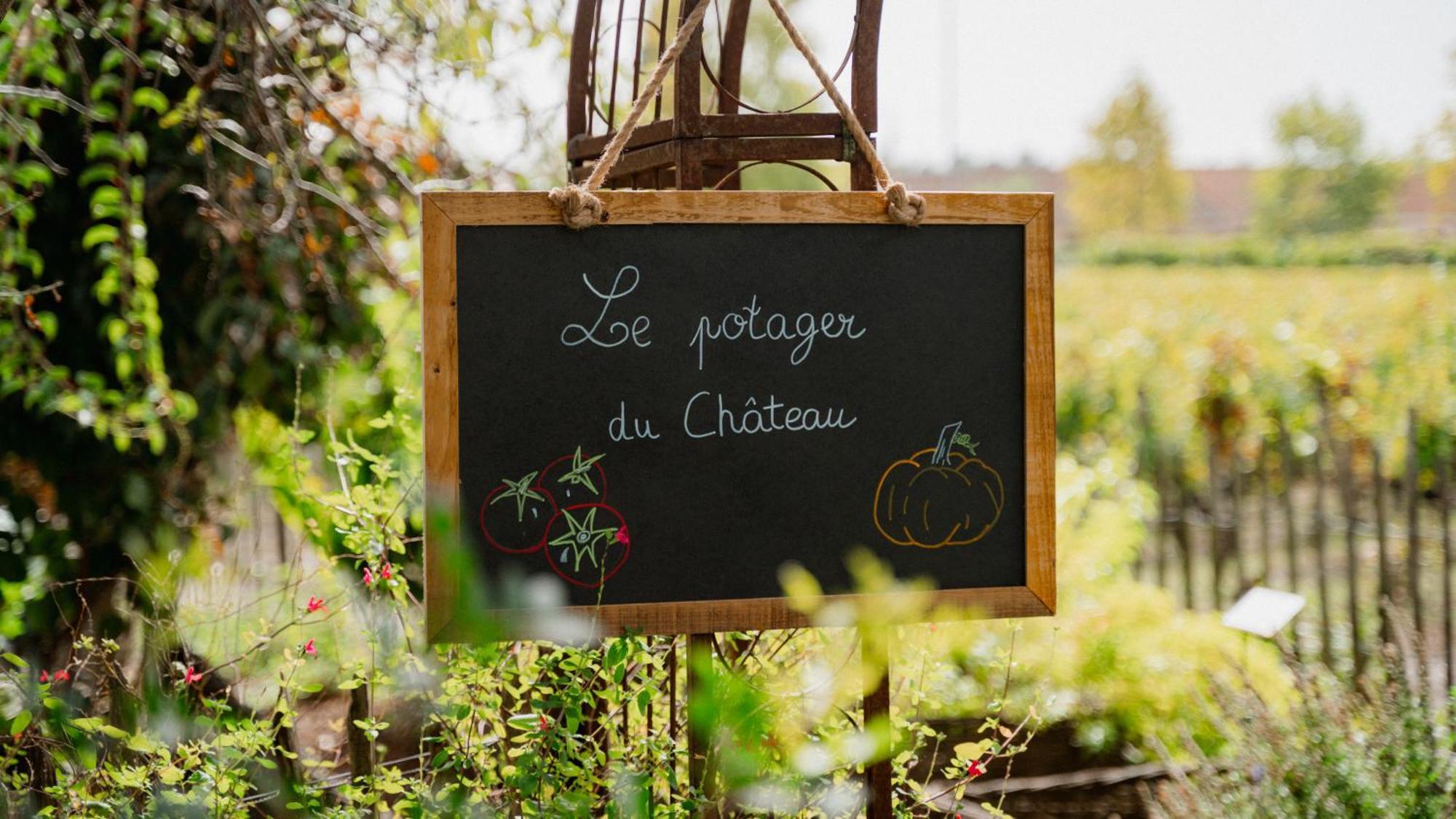 Château Pape Clément Pessac Exterior foto